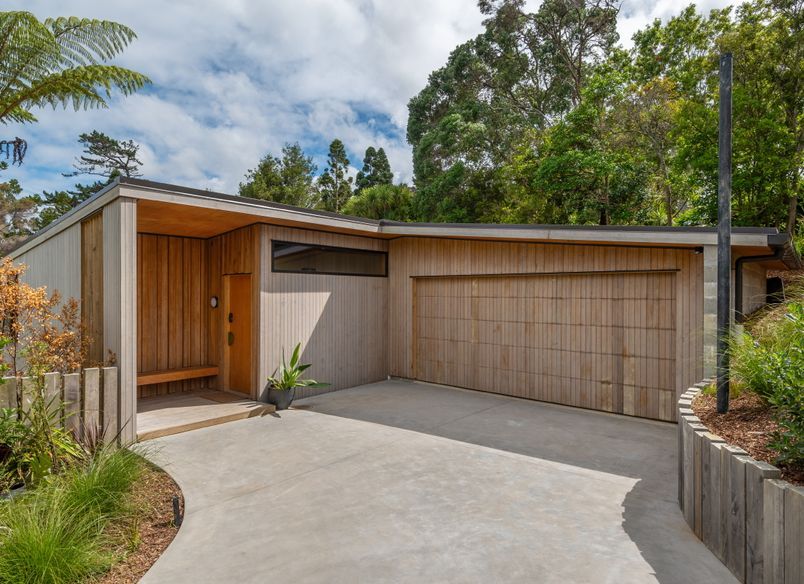 Kauri