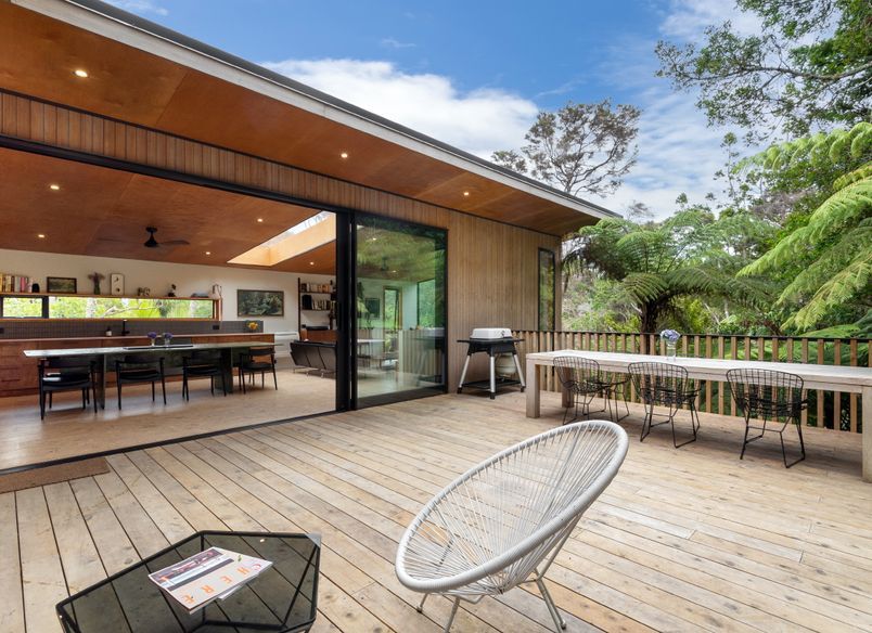 Kauri