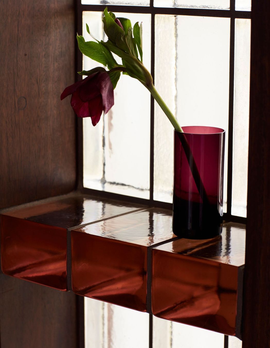 Photography: Prue Roscoe