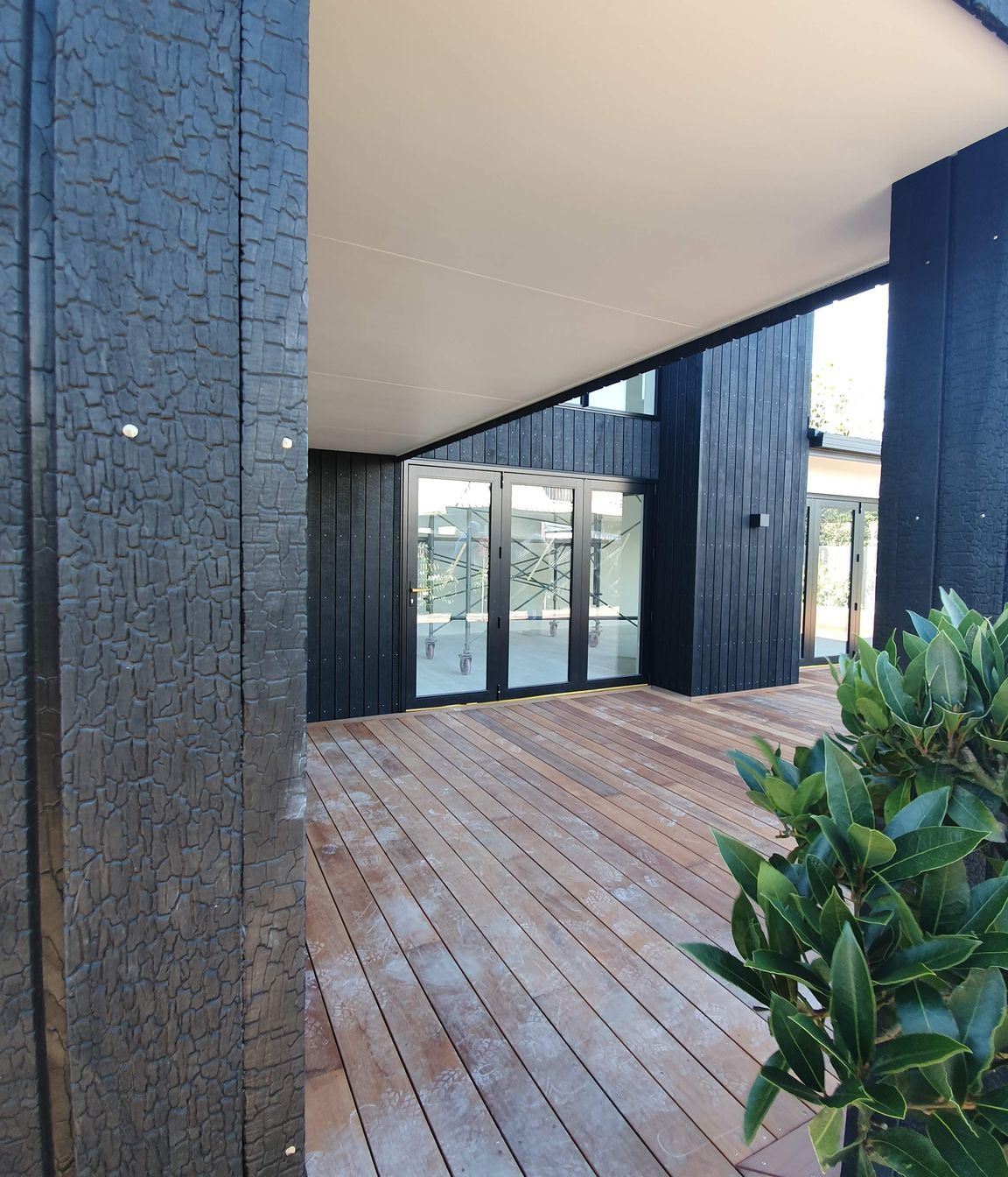 Charred Accoya