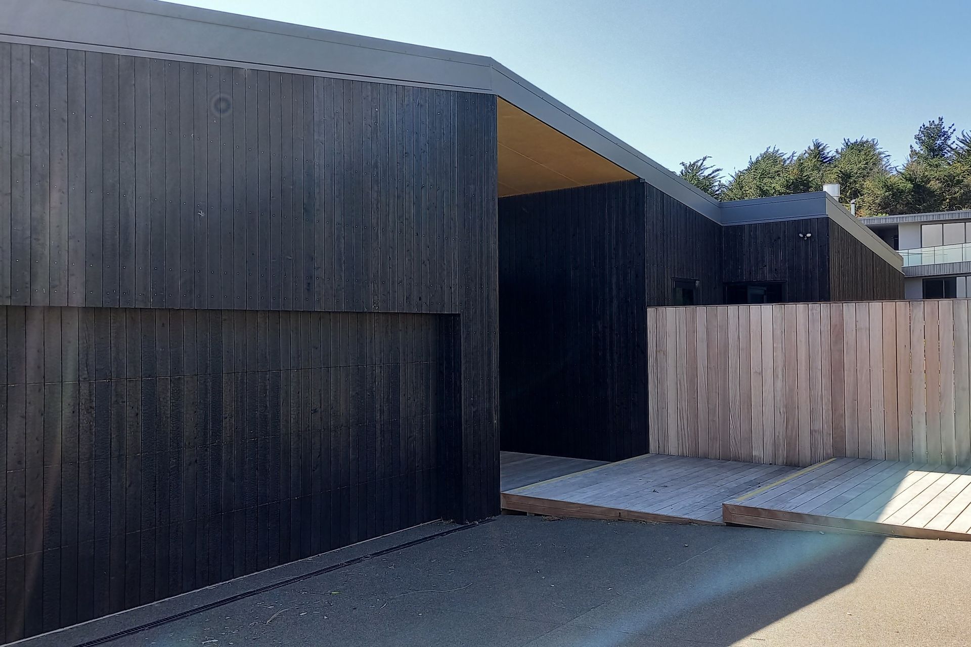 Charred Siberian Larch