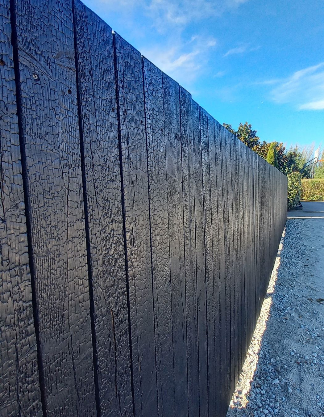 Charred Siberian Larch fence
