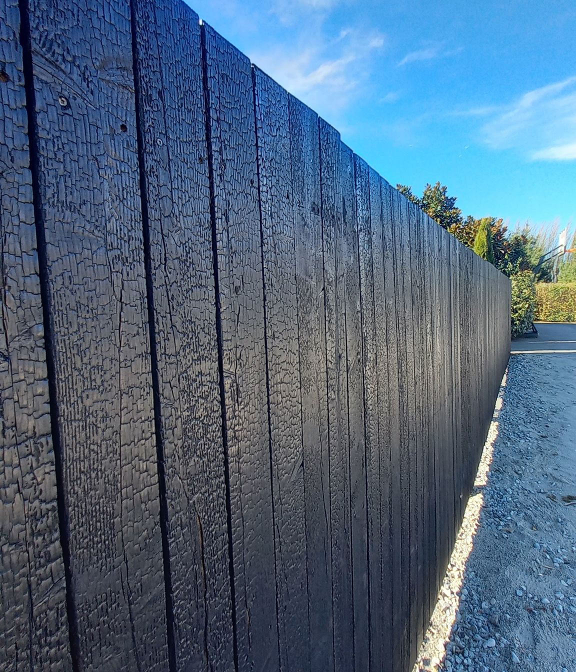 Charred Siberian Larch fence