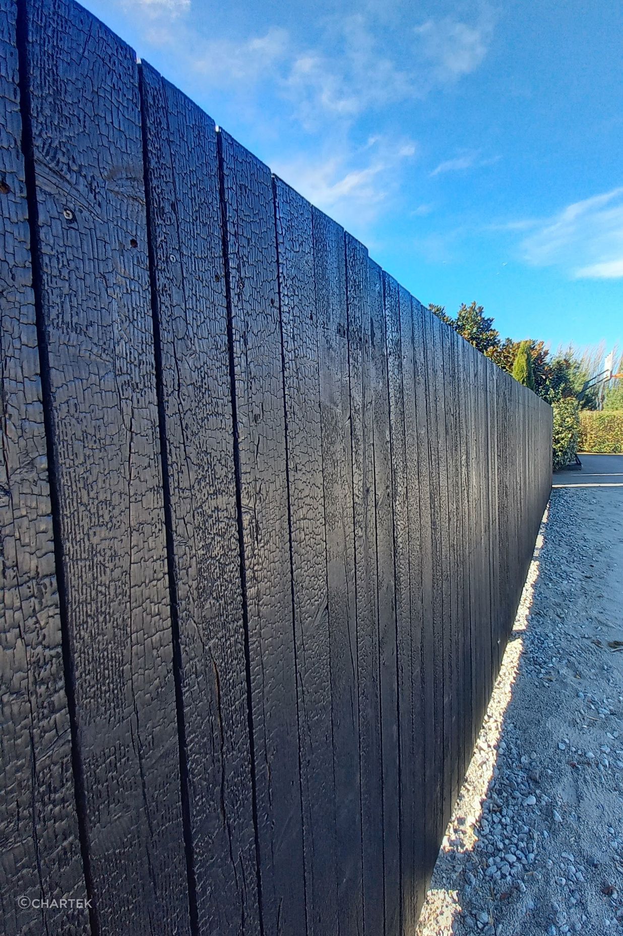 Charred Siberian Larch fence