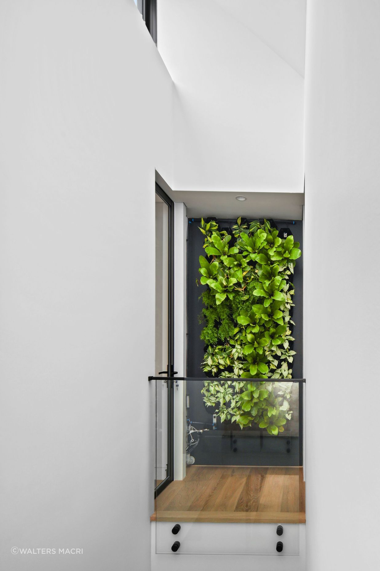 22MortlakeStreetConcordHighHall2.jpg