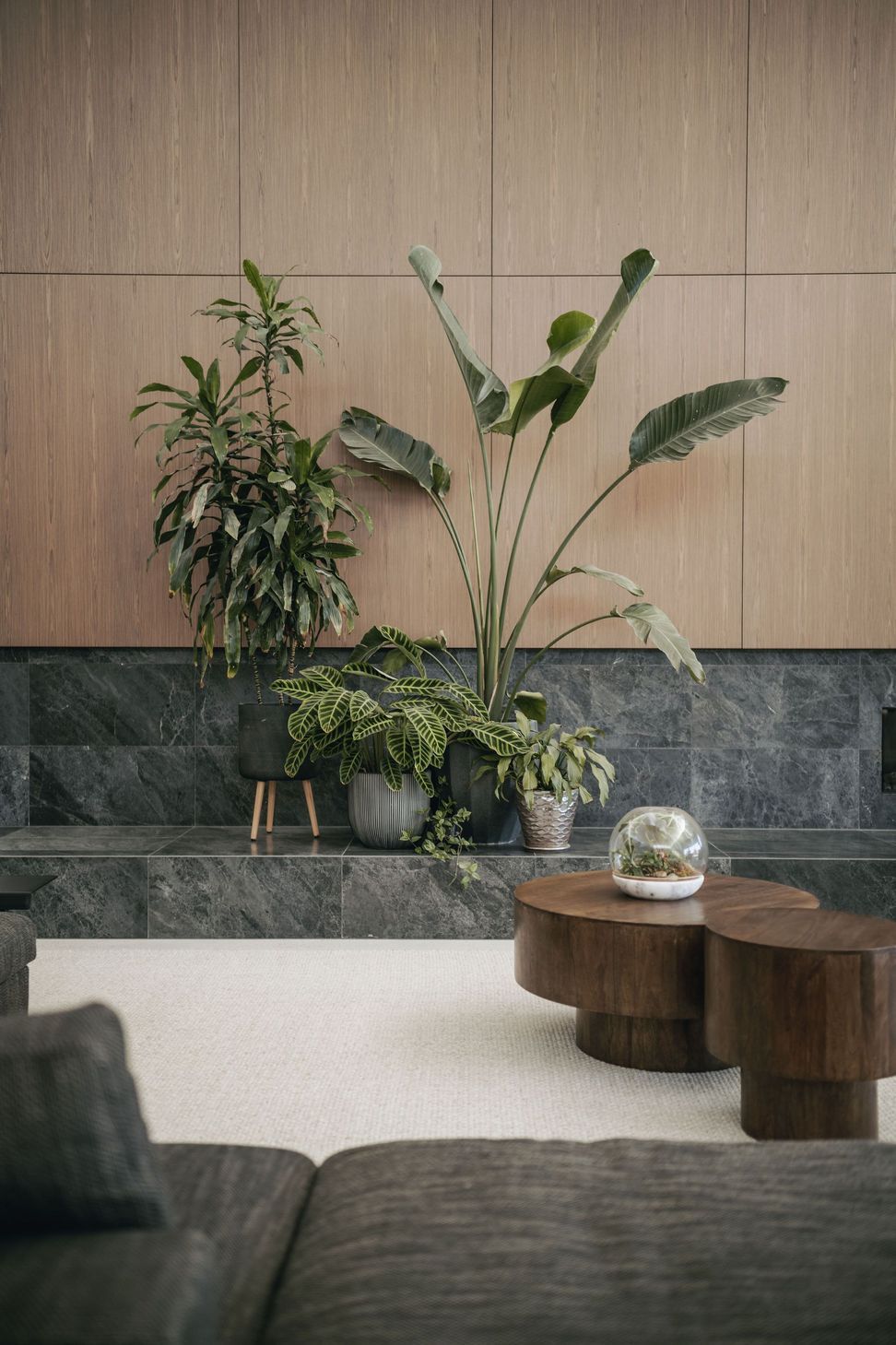 240300cmphotoglasshousekersbrook0077.jpg