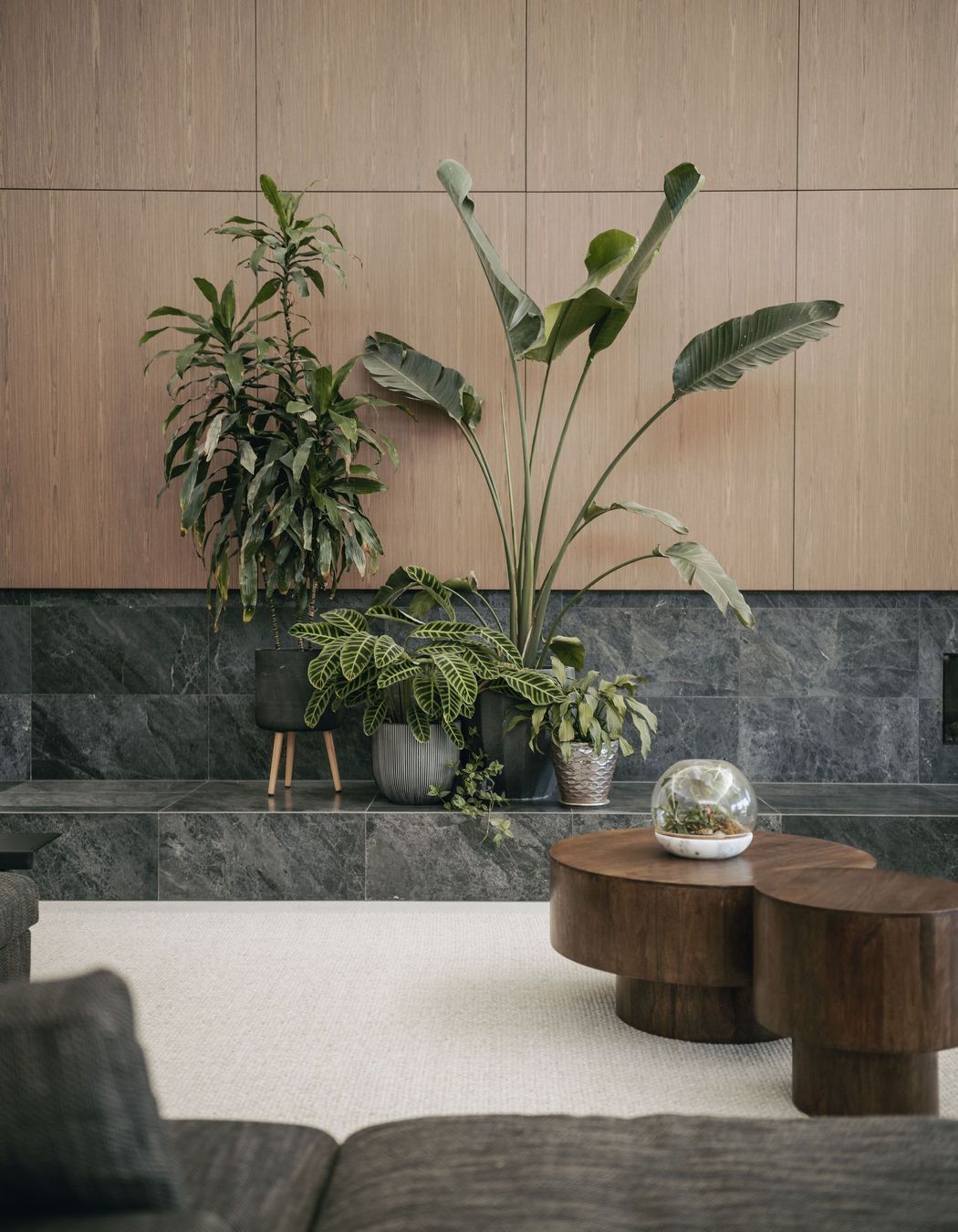 240300cmphotoglasshousekersbrook0077.jpg