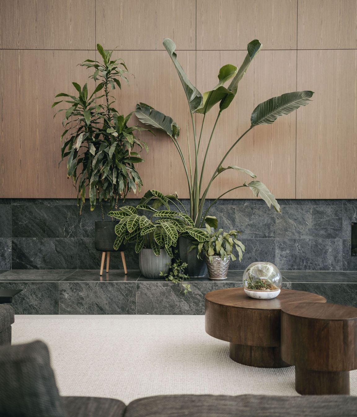 240300cmphotoglasshousekersbrook0077.jpg