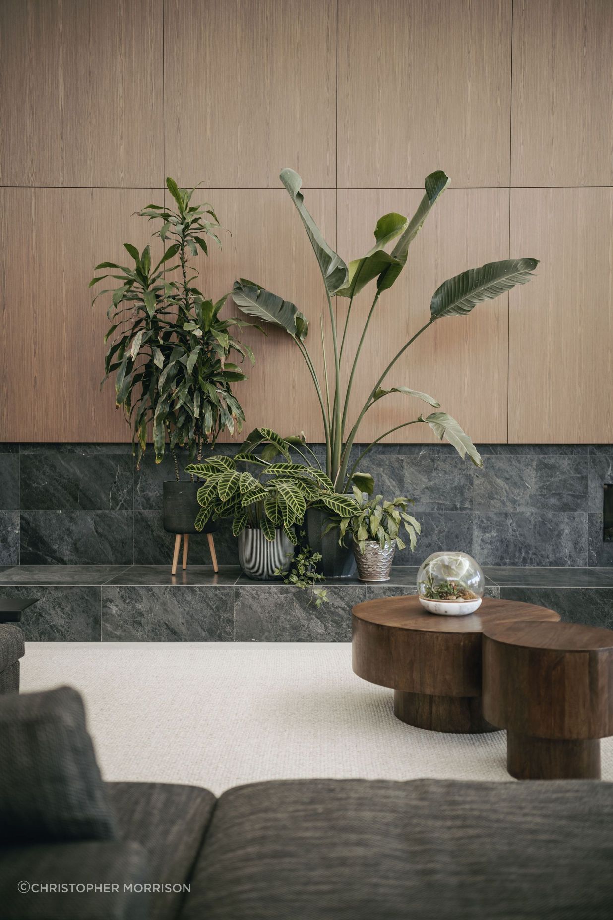 240300cmphotoglasshousekersbrook0077.jpg