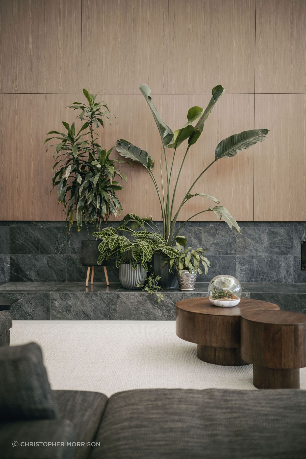 240300cmphotoglasshousekersbrook0077.jpg
