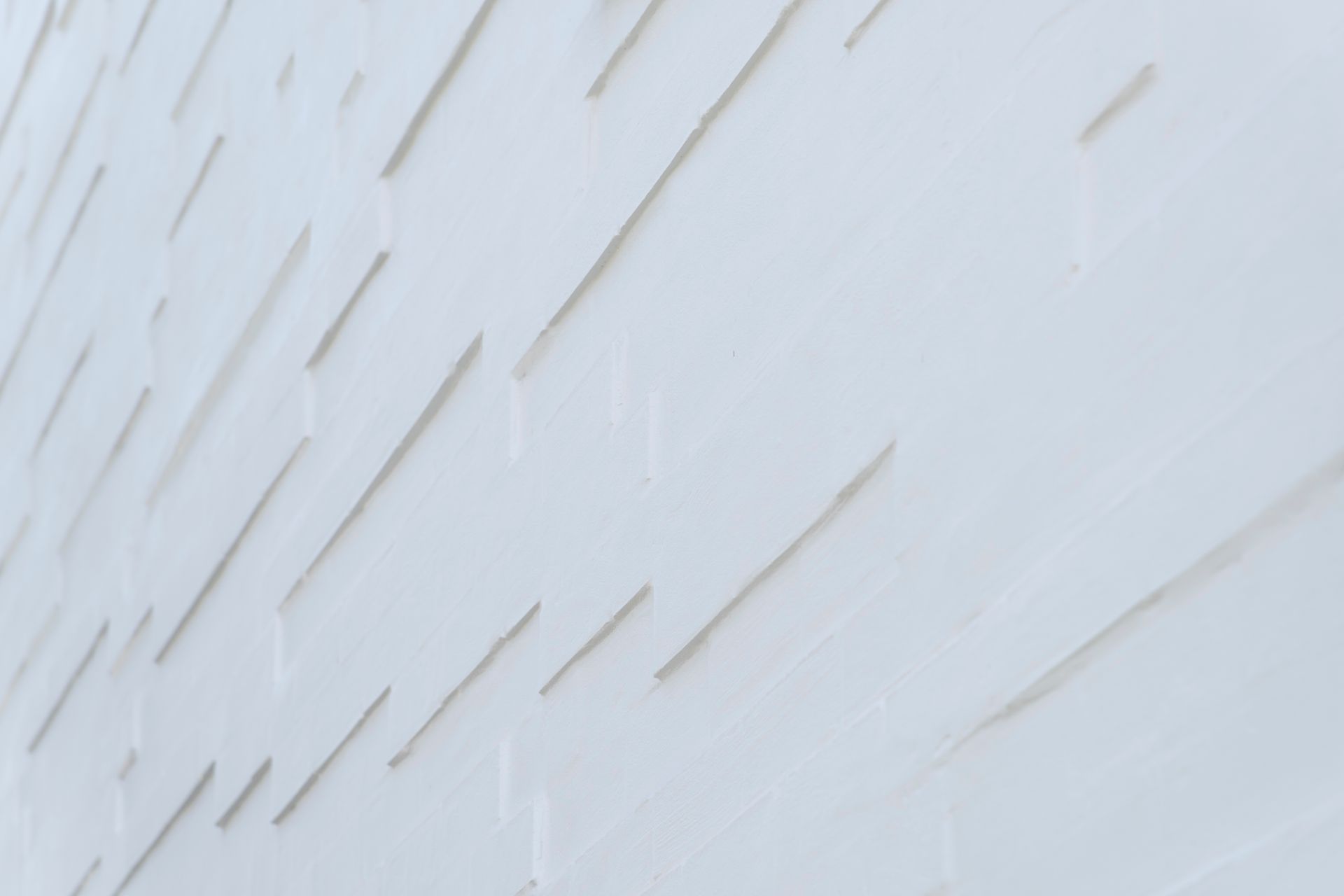 A Star On Hollywood Avenue