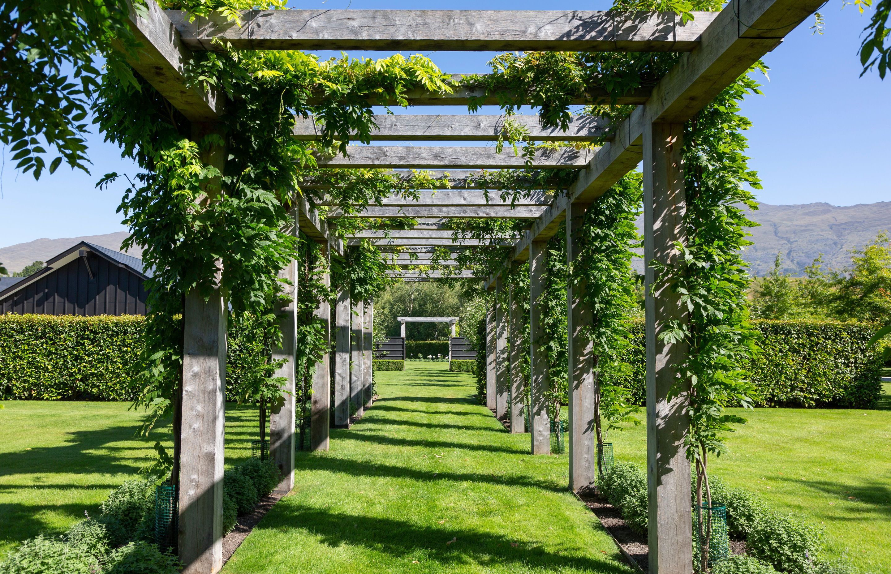 Birchwood Road | Kerry Mason & MAPS Architects