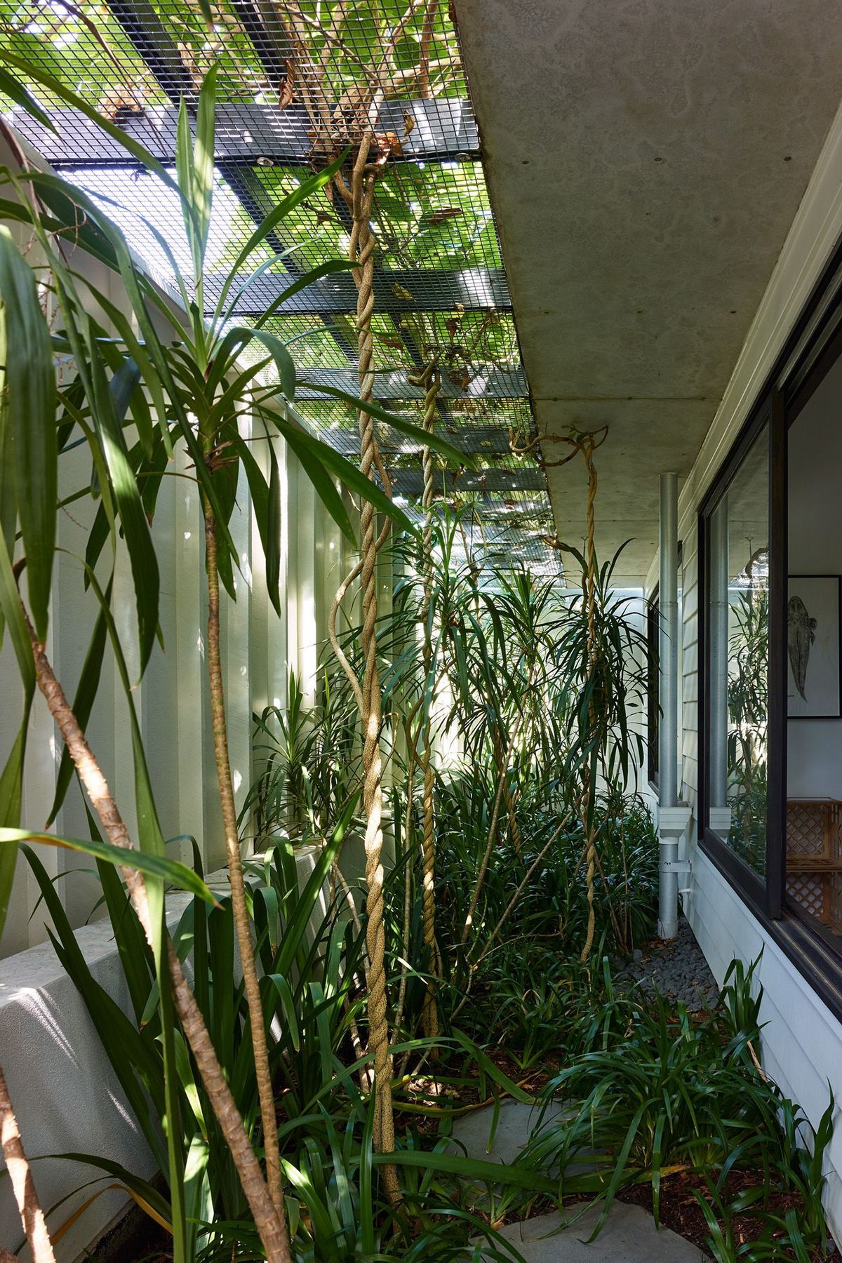 Chemler House