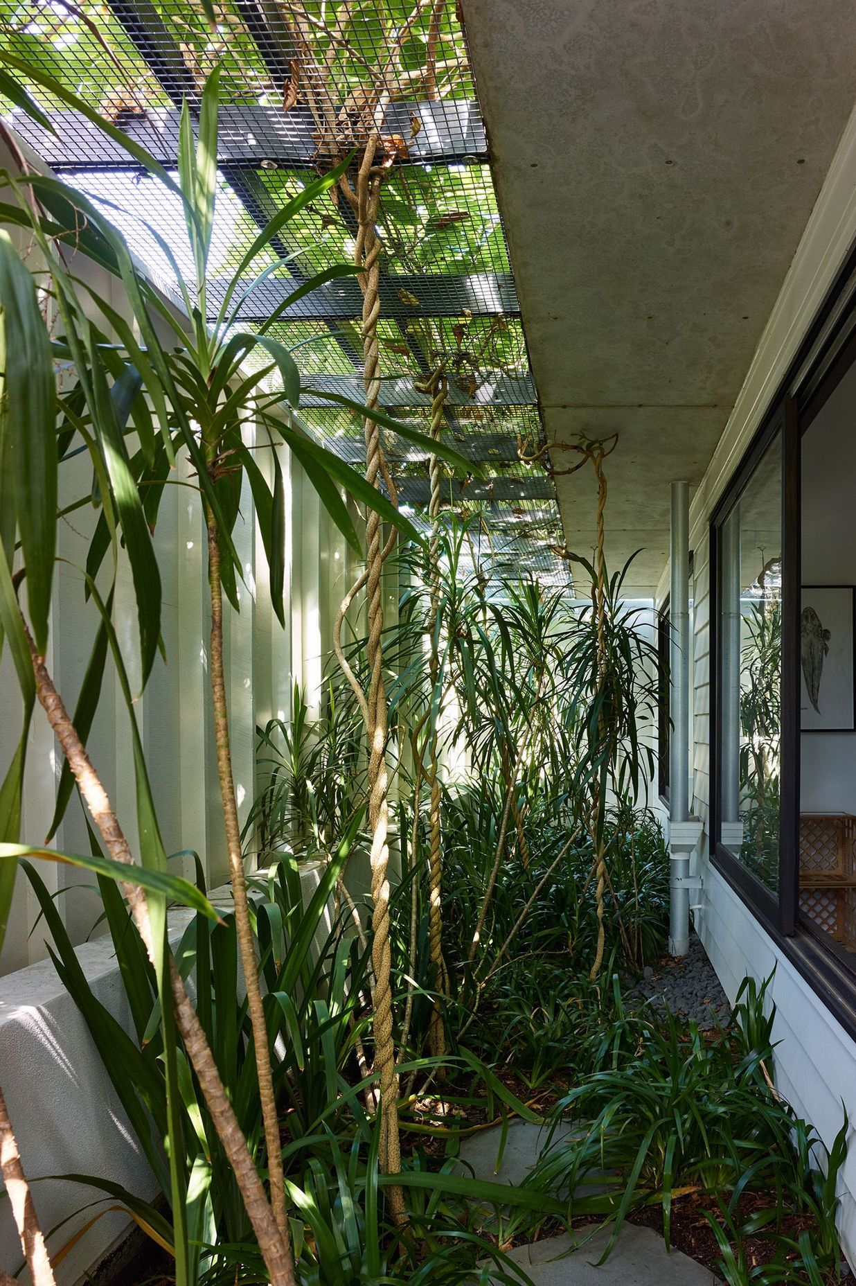Chemler House