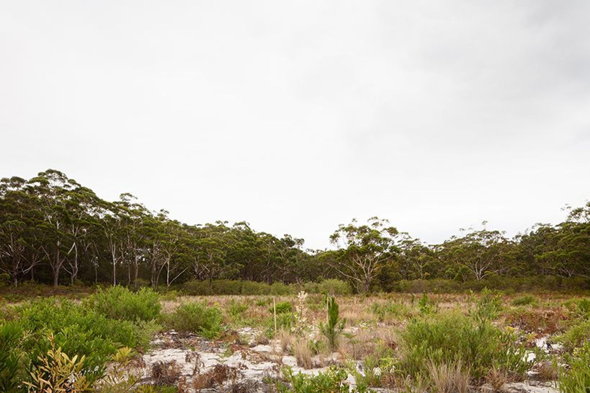 Courtyard House for Fabprefab