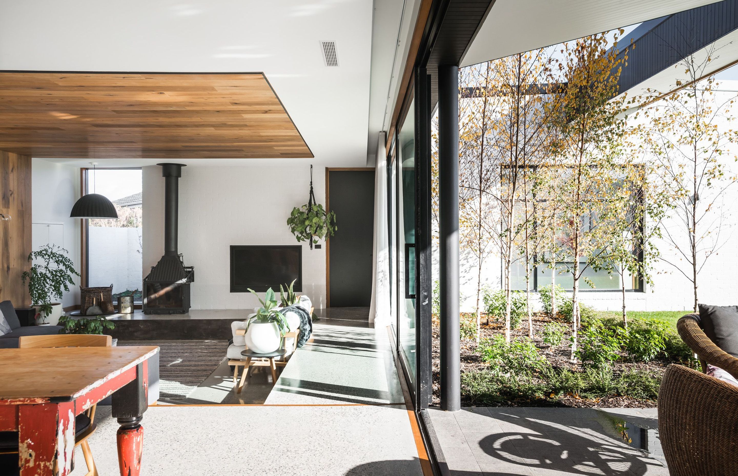 Ivy Lane Residence