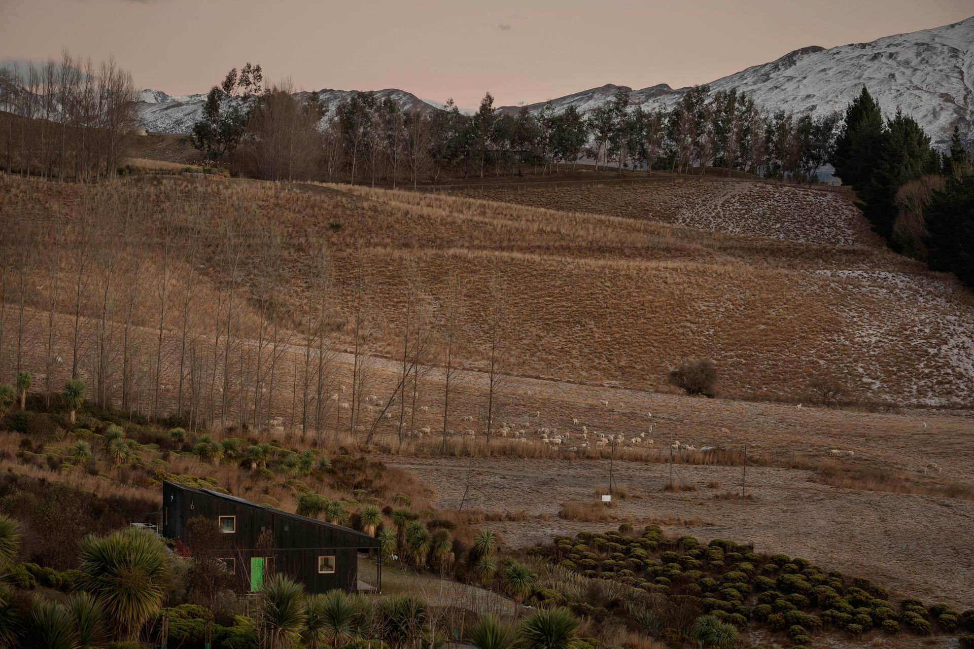 Team Green Passive House