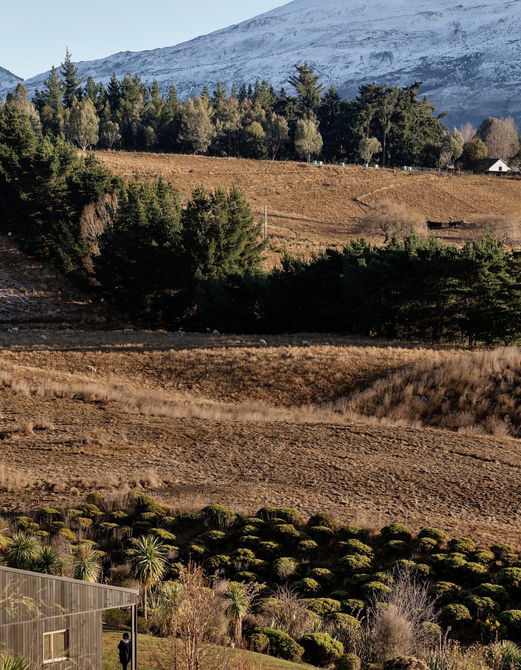 Team Green Passive House