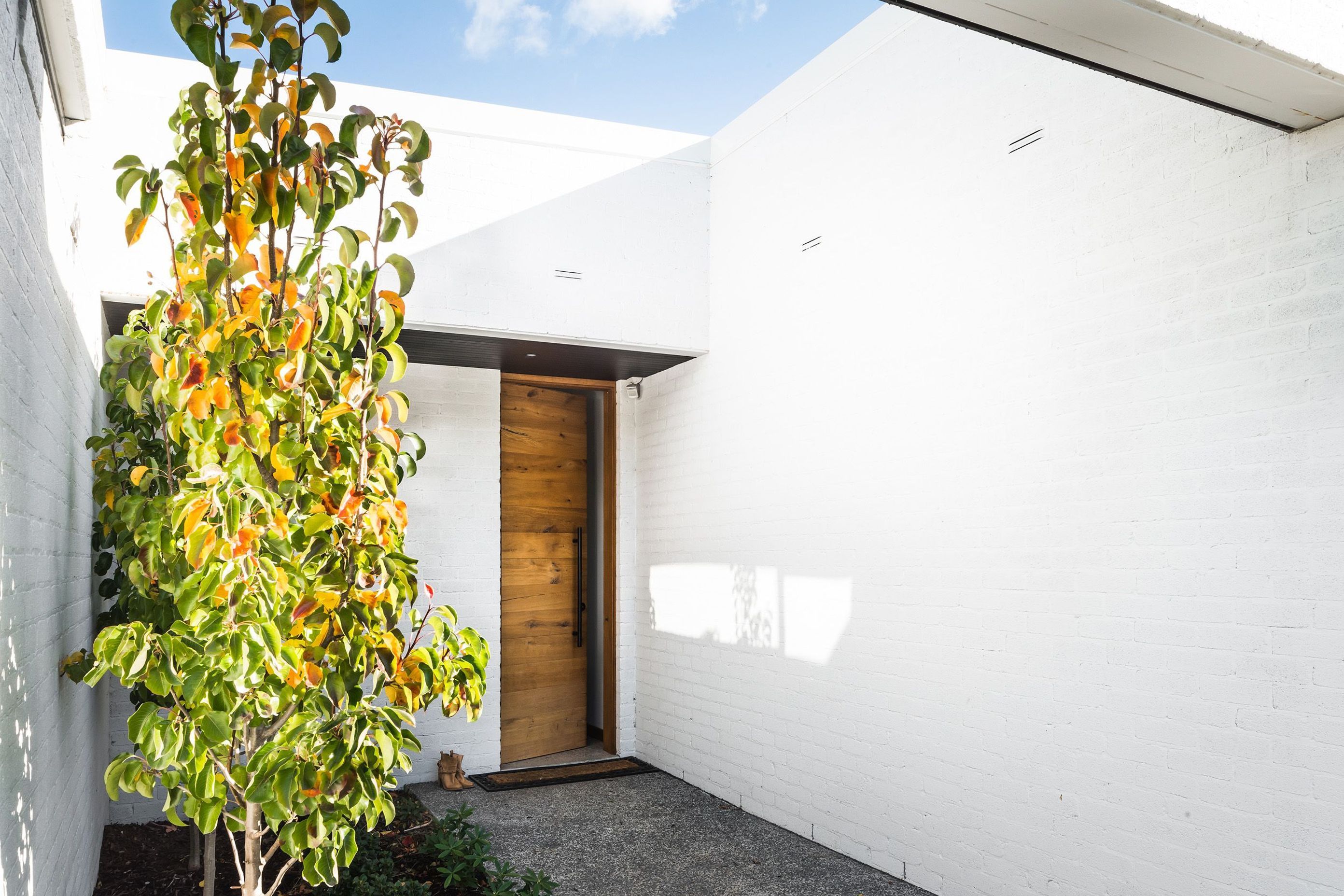 Ivy Lane Residence
