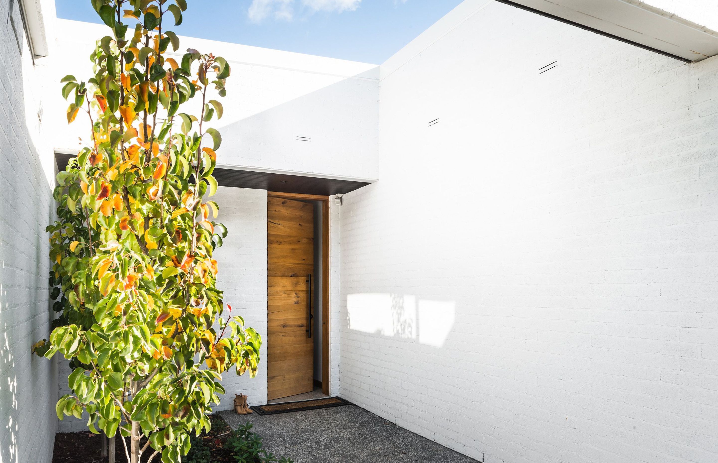 Ivy Lane Residence