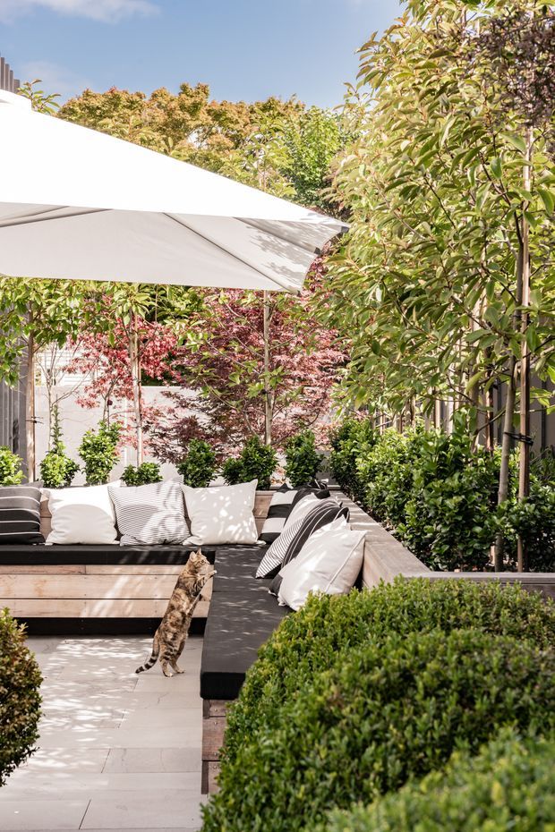 A bright landscaped outdoor courtyard or terrace with a large white cantilevered shade umbrella, built-in dark outdoor lounge seating, pale cushions, timber-clad seat platforms, clipped hedges, and mature ornamental planting. A pale paved walkway runs through the garden, with a cat visible near the seating. The setting feels private, leafy, and refined.