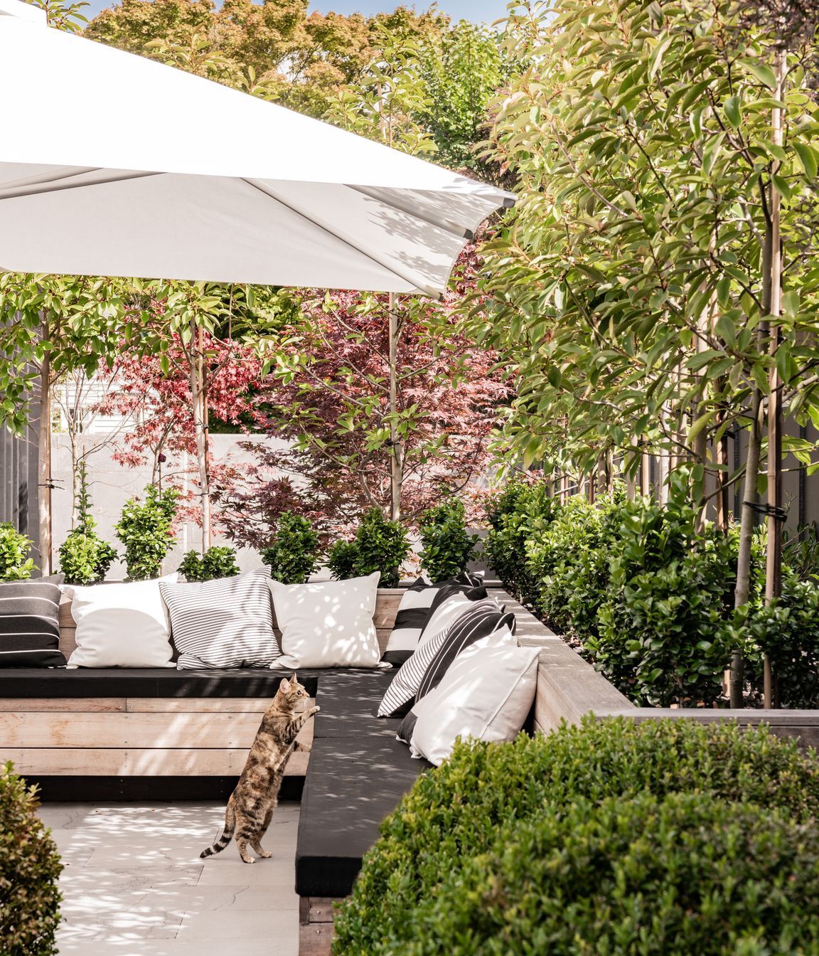 Landscaping surrounds an entertaining area at the side of the property.