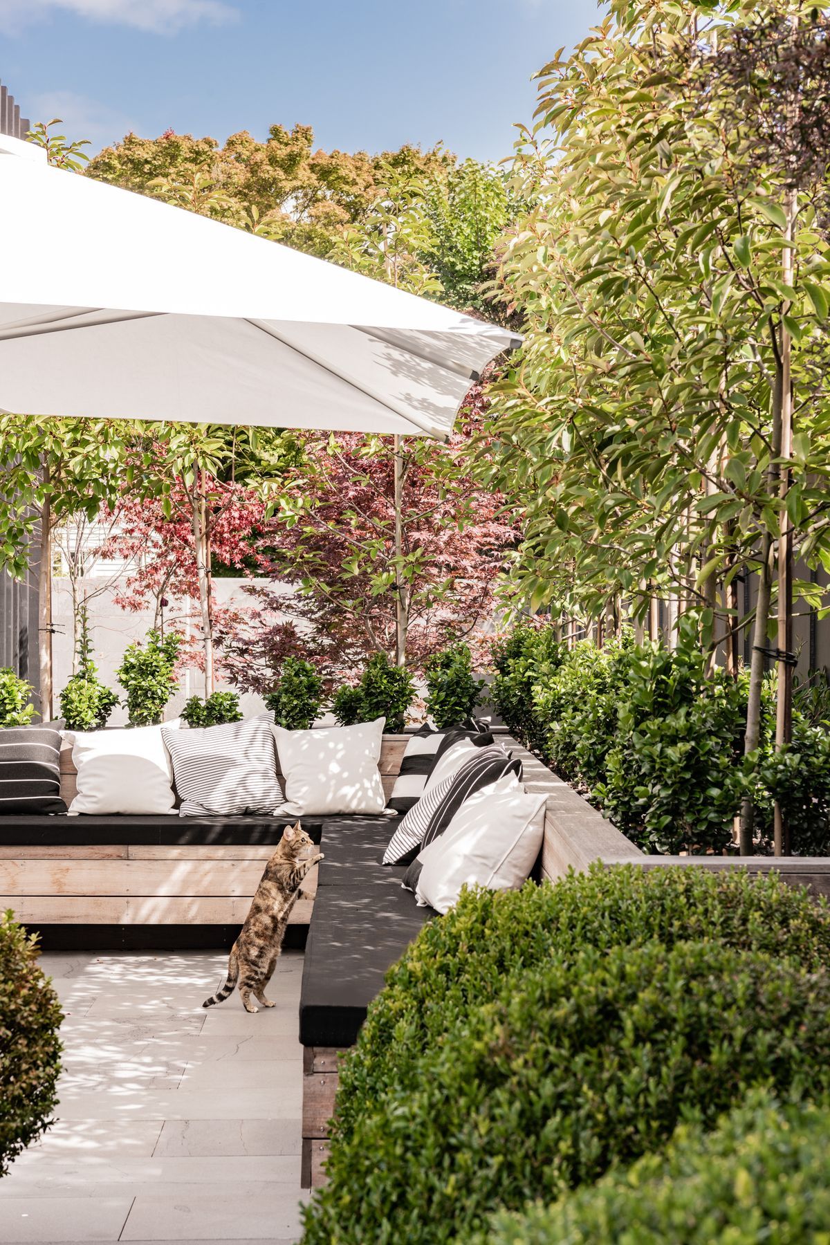 Landscaping surrounds an entertaining area at the side of the property.