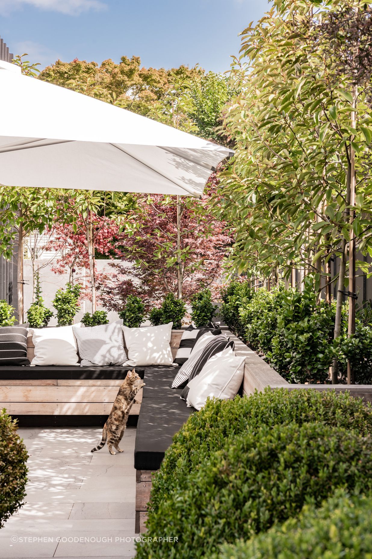 Landscaping surrounds an entertaining area at the side of the property.