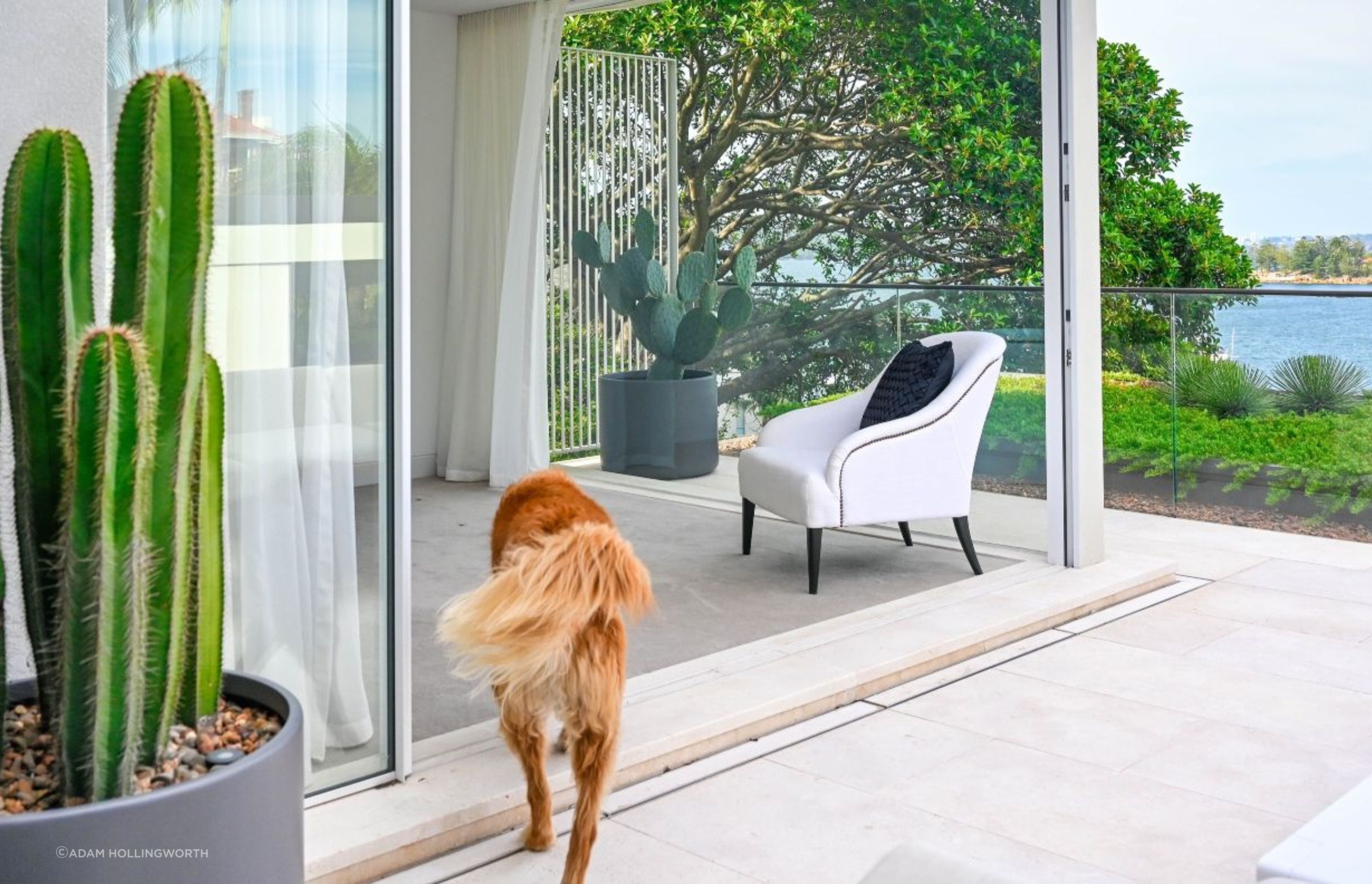 TDDP Architects | IBW Constructions | Blainey North