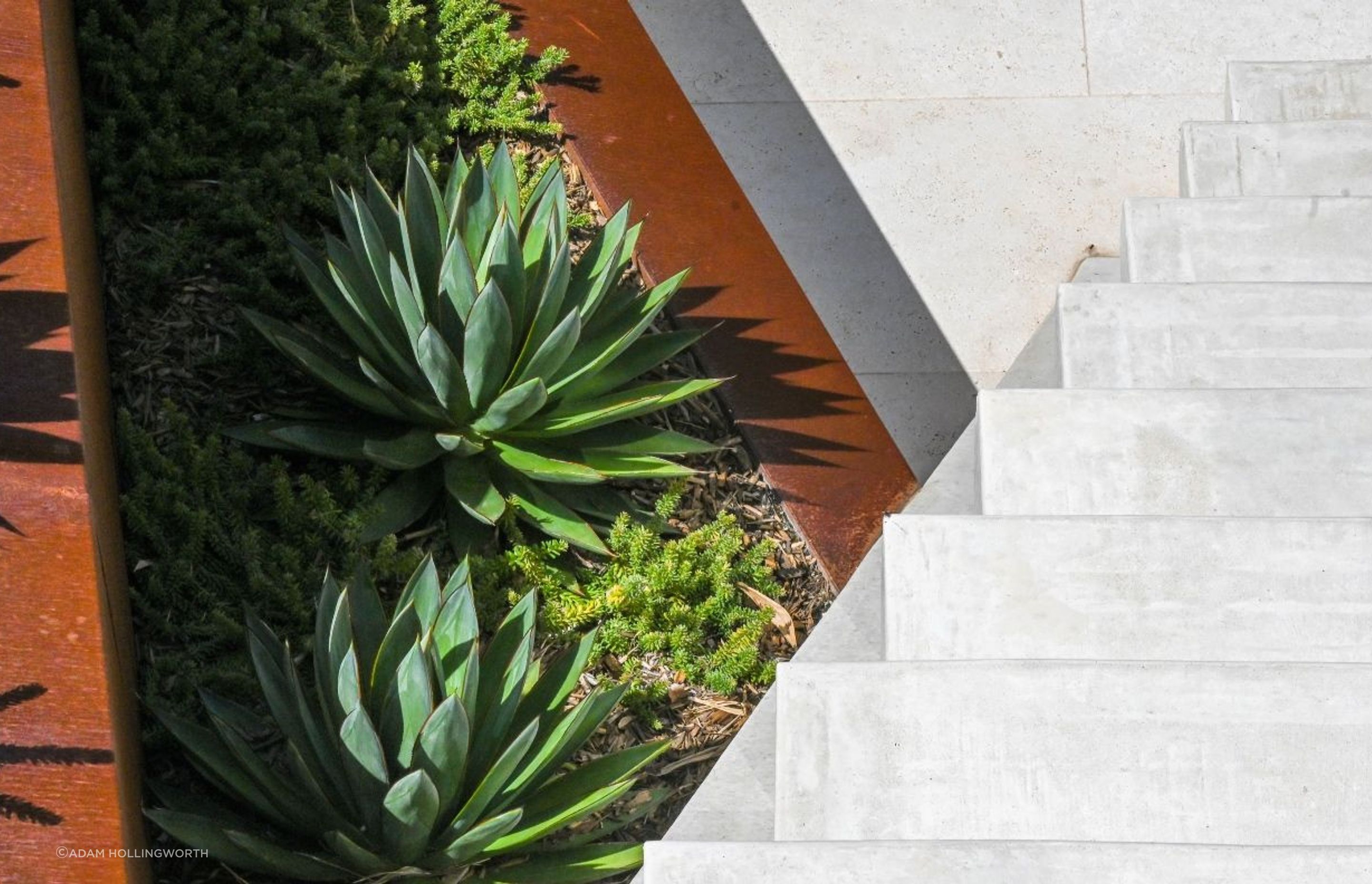 TDDP Architects | IBW Constructions | Blainey North