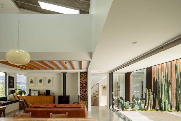 Bright contemporary living room with a warm timber-lined ceiling, exposed beams, a suspended sculptural pendant, leather seating, built-in timber cabinetry, a black wood-burning stove, and a stacked firewood feature. Floor-to-ceiling glazing opens toward a planted indoor courtyard or garden with tall cacti, while a staircase and open circulation area are visible in the background.