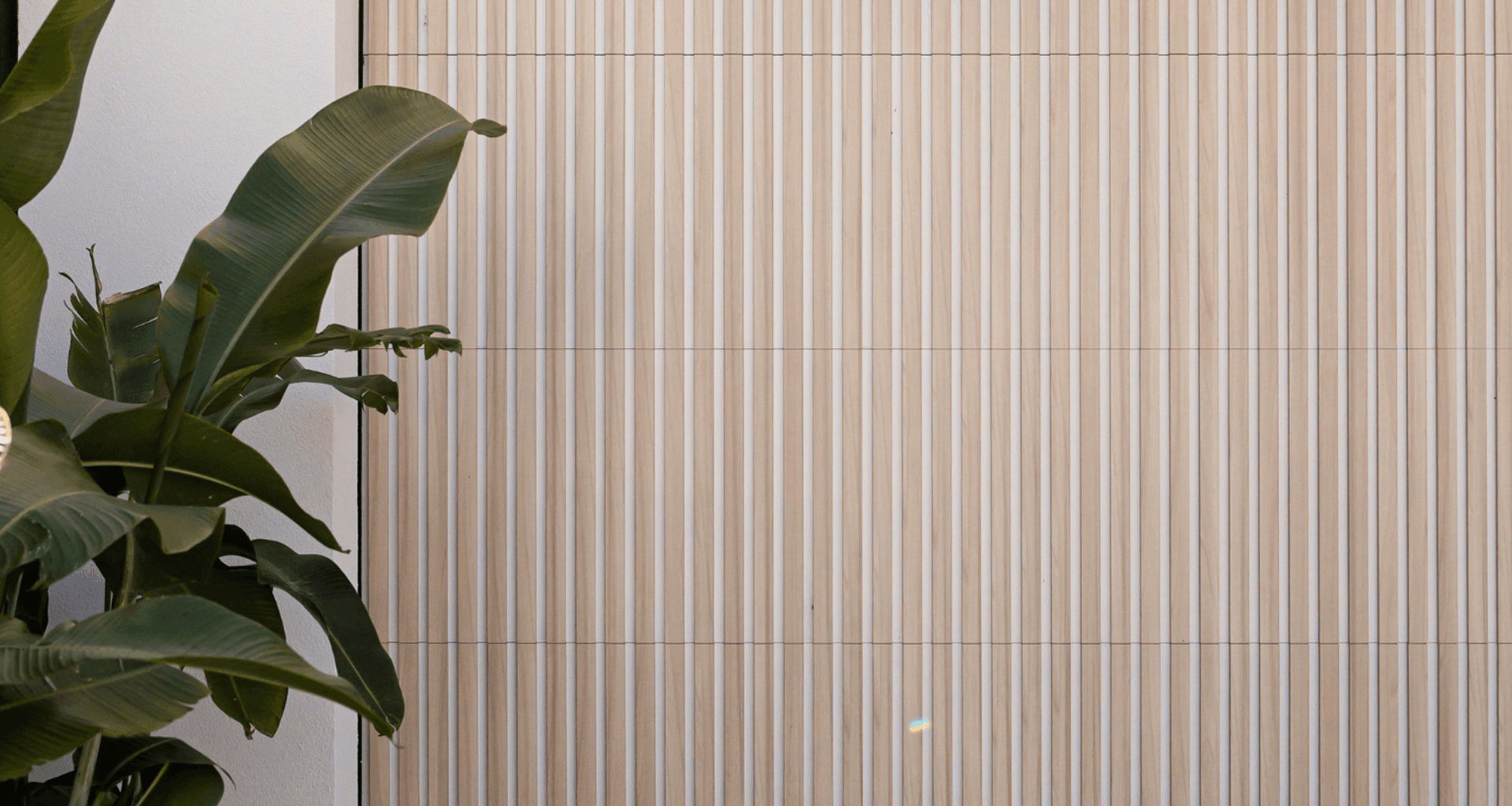 Casa Bianco | Austral Bright Abode banner