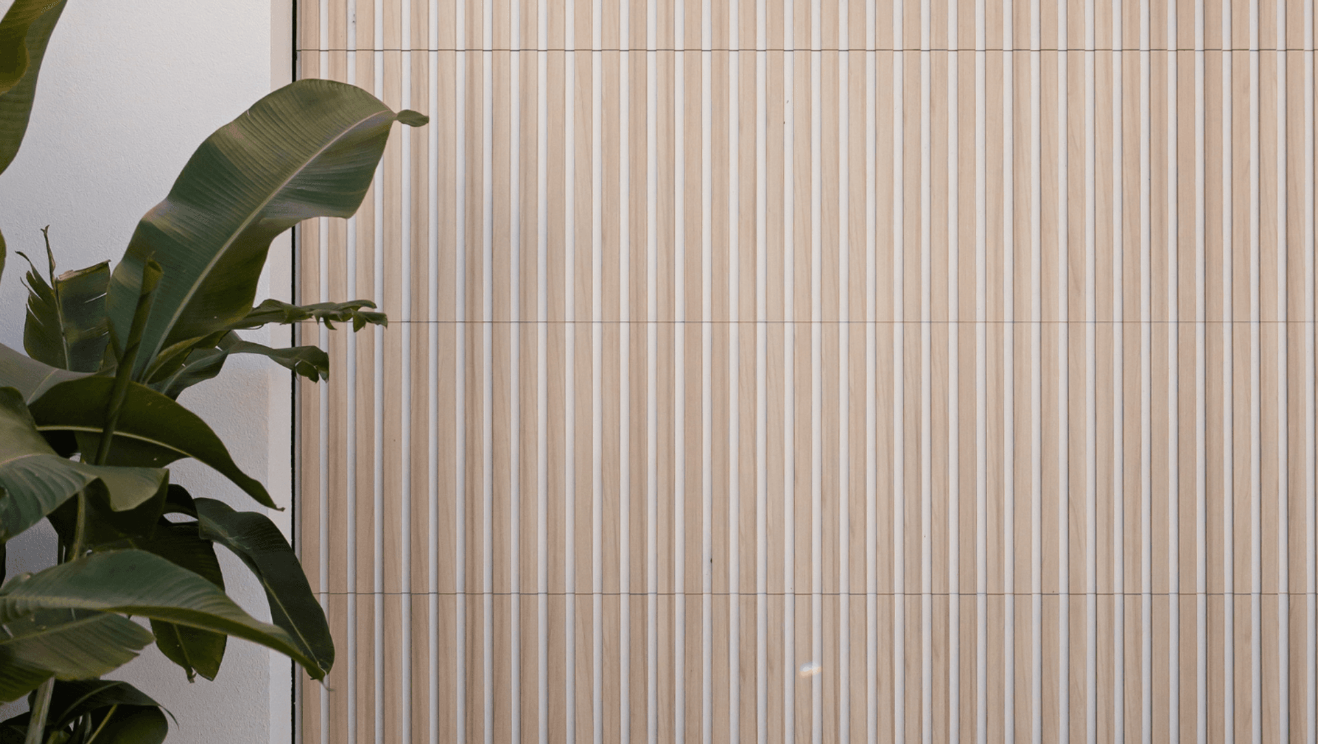 Casa Bianco | Austral Bright Abode banner