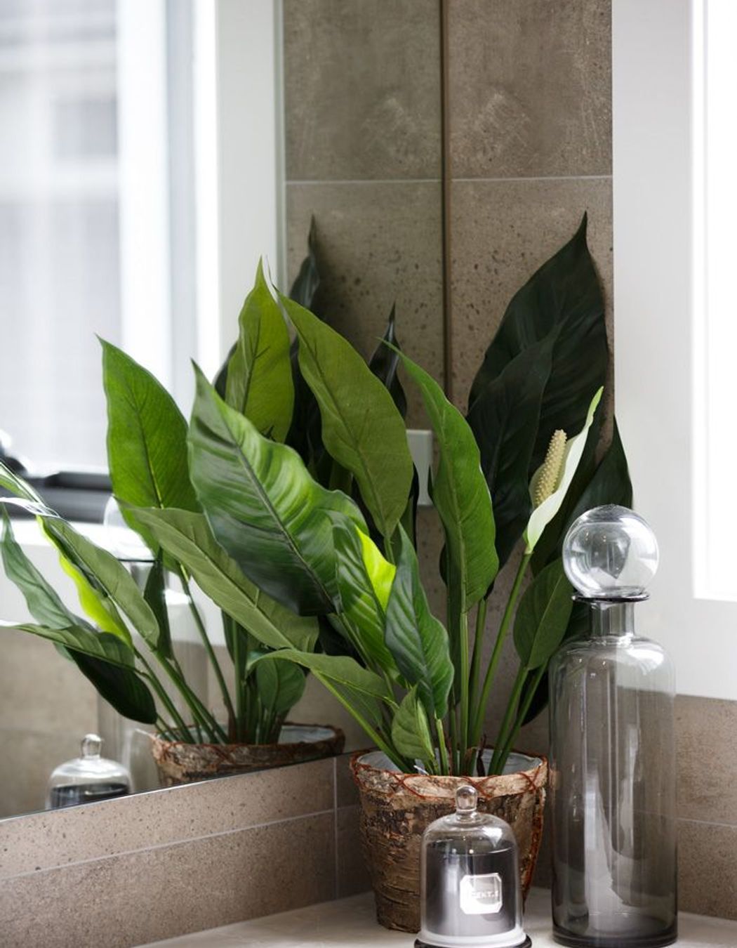 Aria Display Home