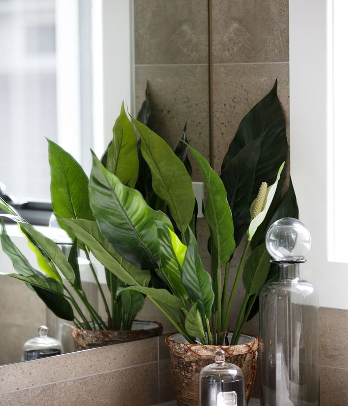Aria Display Home