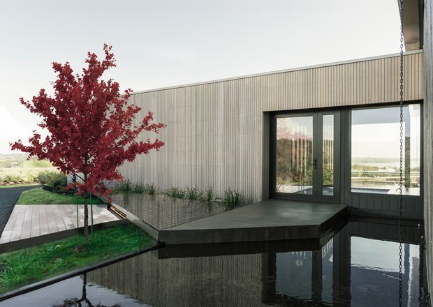 Contemporary single-storey building exterior with vertically ribbed light-grey cladding, large dark-framed glazed doors and windows, and a projecting deck or platform extending over a reflective rectangular water feature. A red-leaved ornamental tree, timber decking, gravel, and low planting landscape the foreground. The glazing reveals a bright interior and reflects the surrounding landscape.