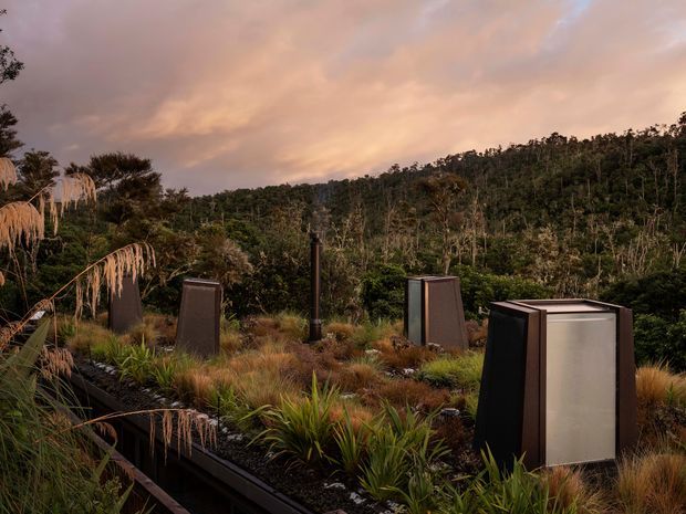A landscaped rooftop or elevated outdoor area at dusk, featuring several dark metal-and-glass box-like structures set among native grasses, flax-like plants, rocks, and dense bush-covered hills. The warm sunset sky creates a dramatic natural backdrop. The structures may be skylights, vents, or rooftop architectural elements, but no interior space is visible.