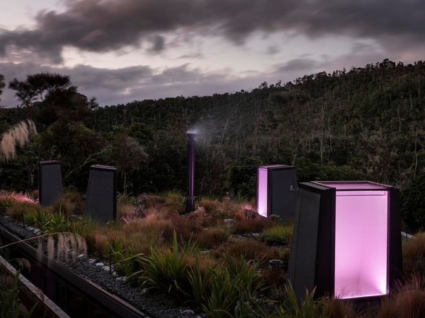 A moody landscaped outdoor installation set against dense native vegetation and an overcast sky. Dark angular illuminated structures or fixtures are arranged among ornamental grasses and planted beds, with a prominent translucent rectangular feature glowing pink-purple in the foreground. The scene has a dramatic twilight atmosphere and appears to be an exterior garden or architectural landscape.