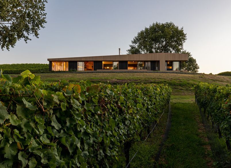 Black Beech House