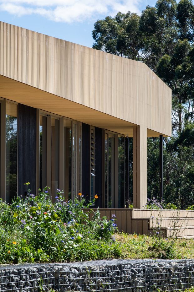 Exterior view of a contemporary building set within a leafy landscaped site. The facade features a strong cantilevered upper volume clad in closely spaced vertical light timber battens, with a deep timber-lined soffit below. Floor-to-ceiling glazing, dark vertical screens, slender columns, and a low timber terrace wall define the lower level. A gabion retaining wall and planted garden occupy the foreground.