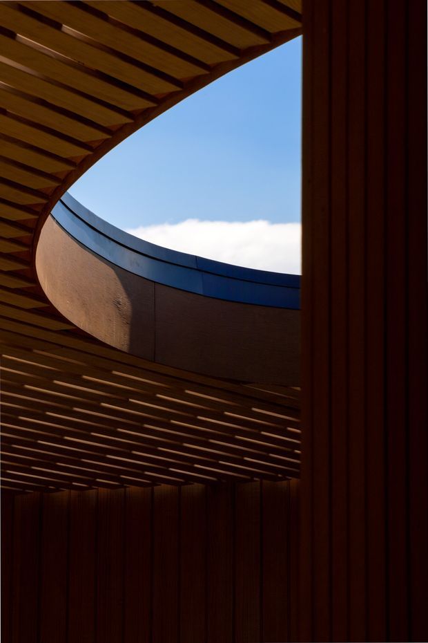 A dramatic architectural view of a timber-lined courtyard or passage beneath layered slatted timber canopies. A large curved wall with a dark metal coping frames an open circular skylight or roof void, revealing blue sky and clouds. Deep shadows, warm wood tones, strong vertical cladding, and sweeping curved geometry create a sculptural contemporary composition.