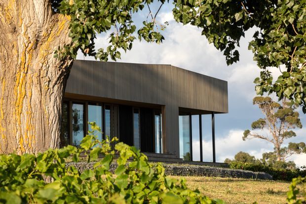 Exterior view of a minimalist, contemporary single-storey building set within a landscaped garden. The dark vertically ribbed facade has a simple low-pitched roofline and extensive floor-to-ceiling glazing, including tall glazed corner openings. A mature tree frames the foreground, with lawn and surrounding vegetation visible around the building.