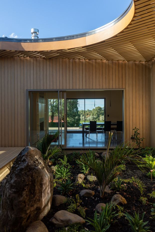 A contemporary timber-clad building enclosing a landscaped courtyard. The image looks through a large glazed opening toward an interior dining area, while a curved timber-lined roof edge and slatted soffit frame the courtyard. Native-style planting, rocks, and a large boulder fill the foreground, with strong sunlight and clear blue sky.