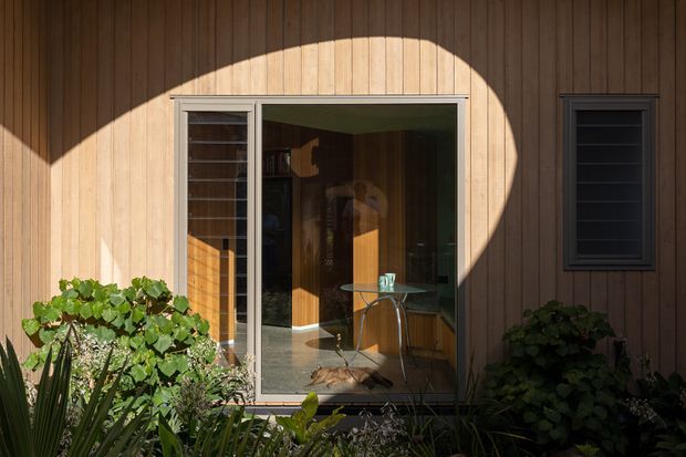 Exterior view of a warm timber-clad building facade with a large glazed sliding door and adjacent louvred window. Dense planting frames the base, while strong sunlight creates a curved shadow across the vertical timber boards. Through the glazing, a compact interior with timber joinery and a small table is visible.