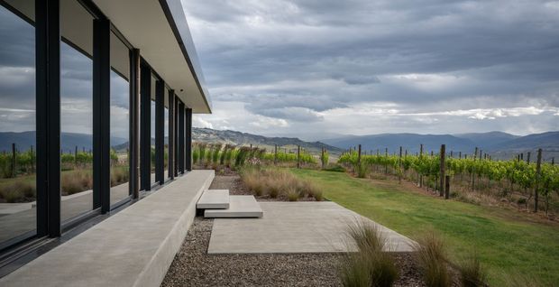A low, modern pavilion-like building extends along the left side of the image, with extensive dark-framed floor-to-ceiling glazing beneath a projecting flat roof. A broad concrete terrace and stepping slabs lead through landscaped ornamental grasses toward a lawn and vineyard, with layered hills and a cloudy sky beyond. The composition emphasizes the building’s strong horizontal lines, indoor-outdoor connection, and rural landscape setting.