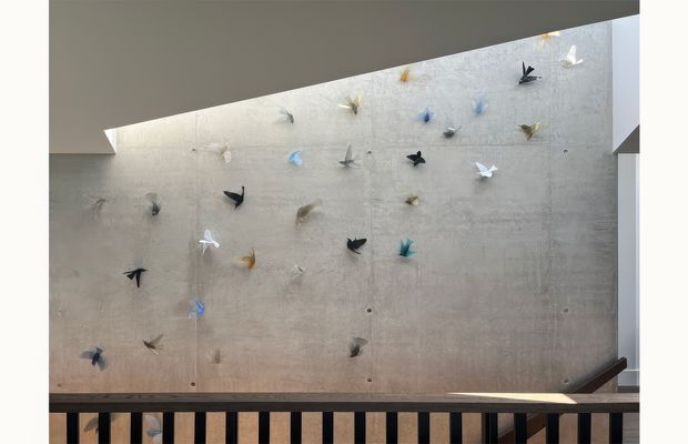 Interior architectural photograph of a stairway or landing beside a large raw concrete feature wall. The wall is decorated with numerous small origami bird forms in varied colours, while a dark timber handrail and black vertical balustrade frame the lower edge. A strong angled ceiling opening brings natural light across the concrete surface, creating a minimalist yet playful focal point.