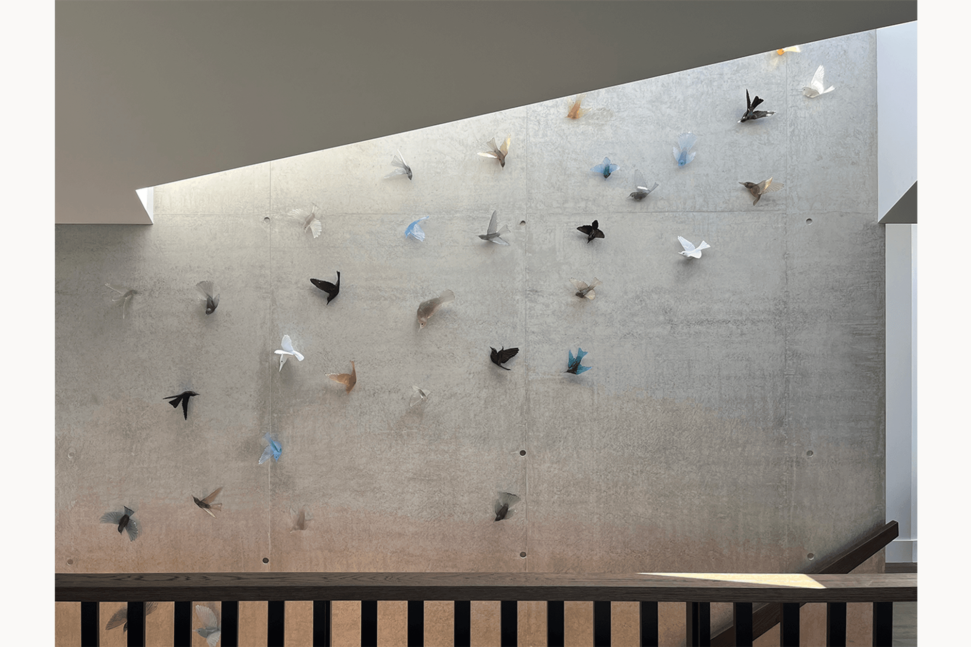 Bird-With-Archipro-border.png