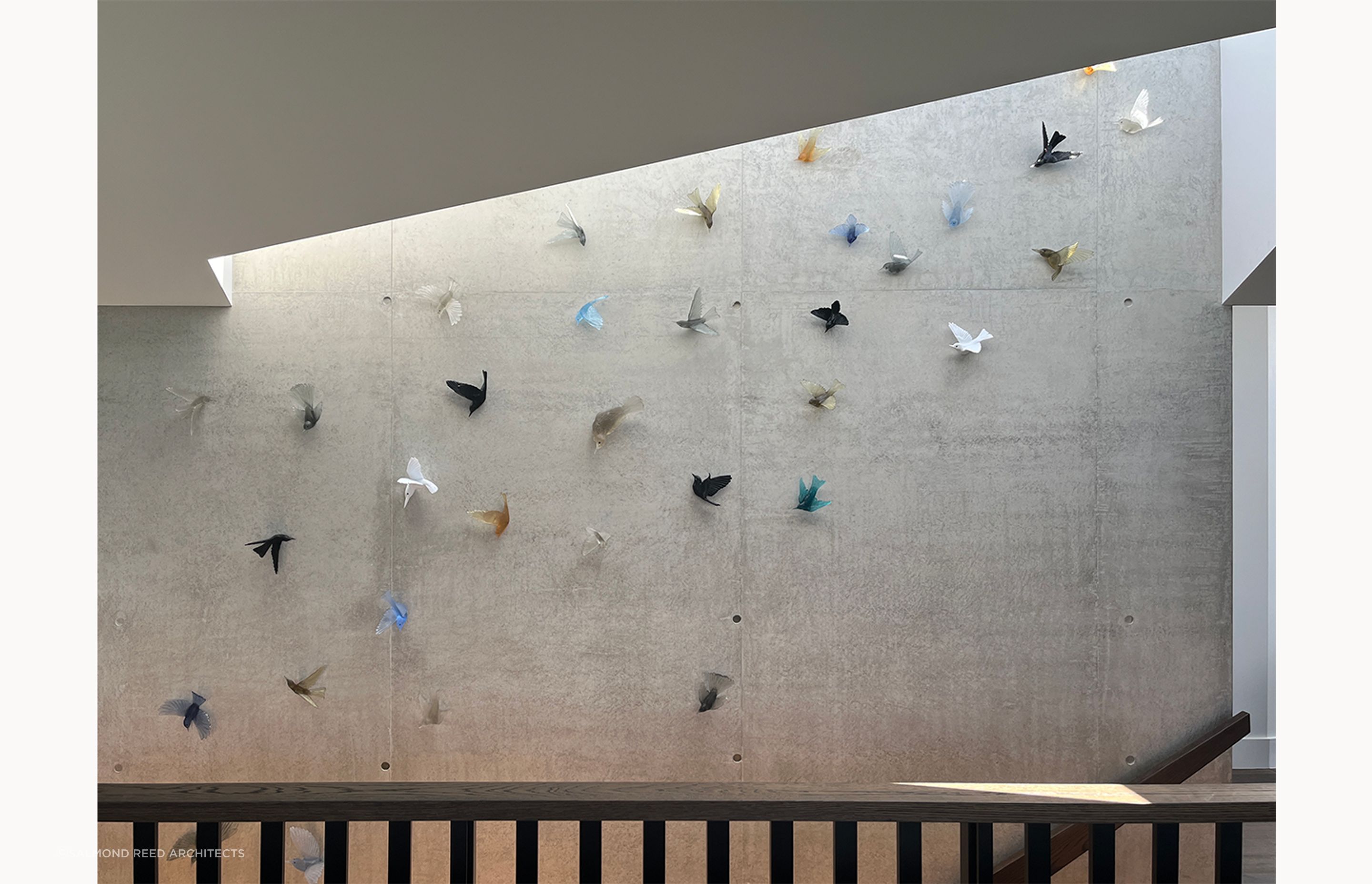 Bird-With-Archipro-border.png