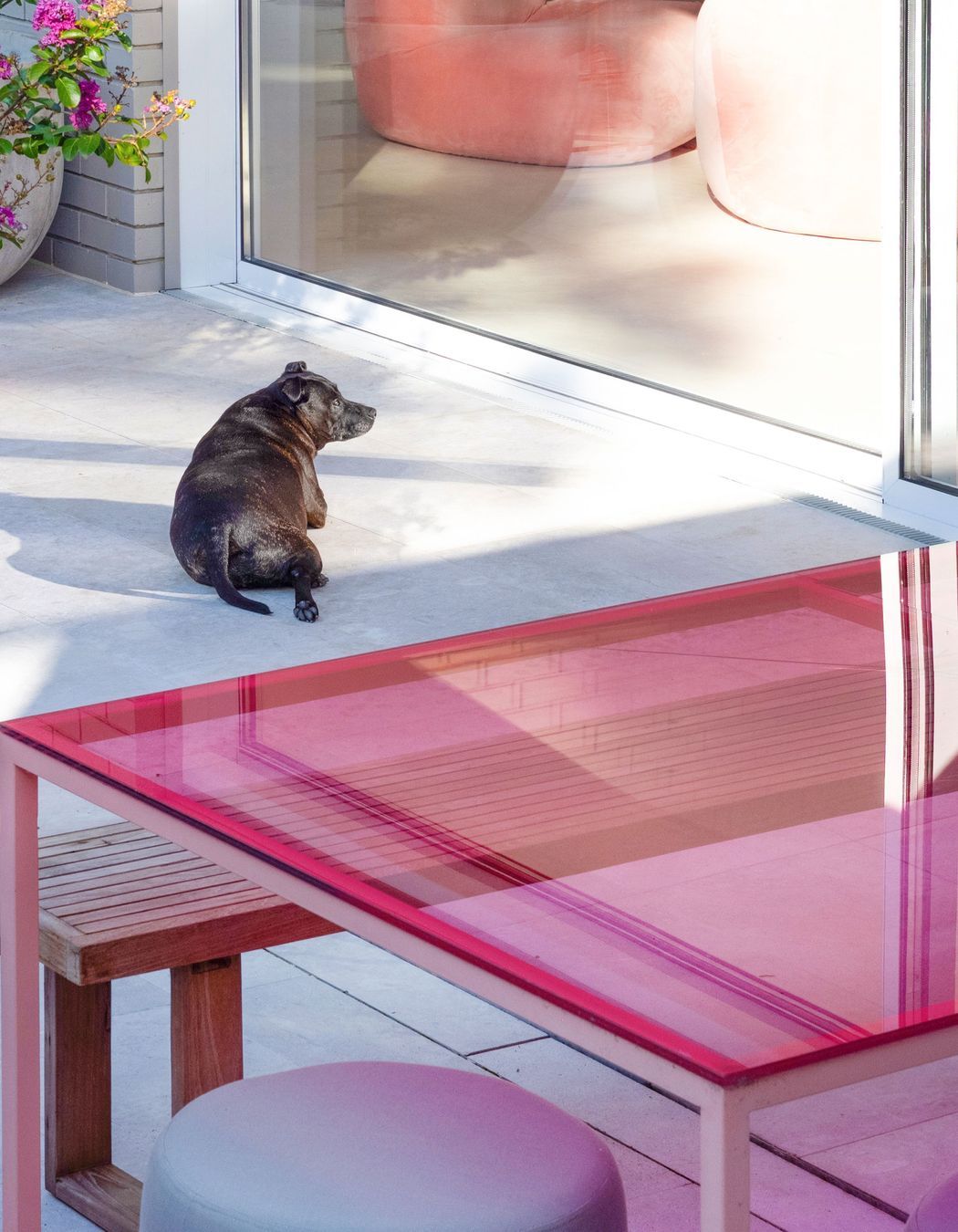 Luna Chiaro Limestone | Concepts Interior Designs