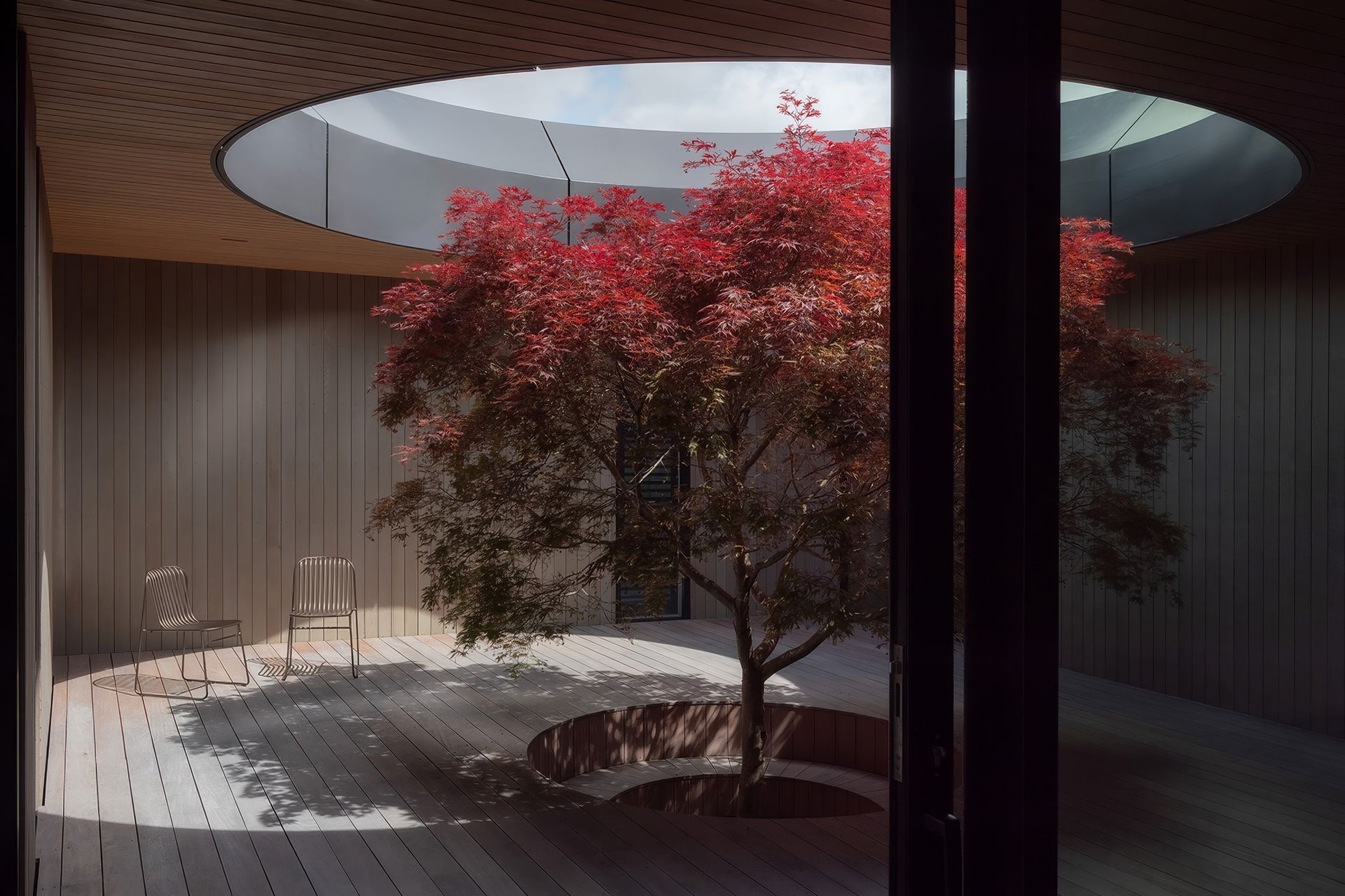 Condon-Scott-ArchitectsOculus-Houseoculus-courtyard-upscaled-by-Replicate.jpg